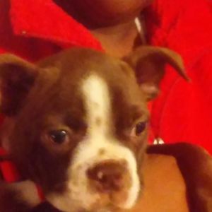 Meet your Posher, Kenneth